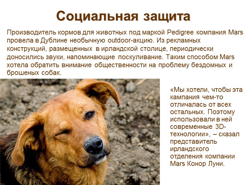 Социальная защита  Производитель кормов для животных под маркой Pedigree компания Mars провела в